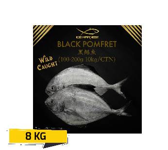 Black Pomfret BoxFrozen