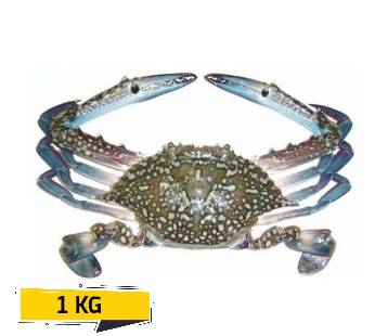 Blue/Brown Crab Fresh