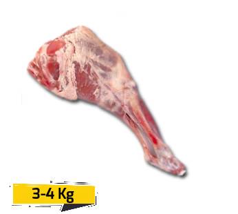 Lamb LegOn Bone