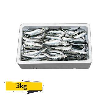 Sardines’ Box