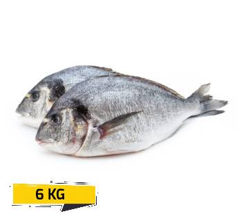 Sea Bream BoxFresh