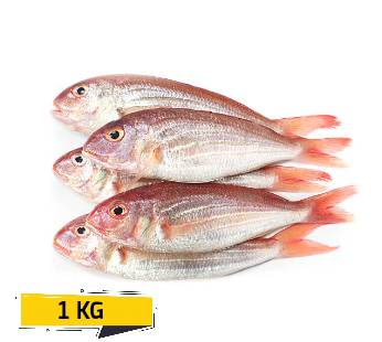 Threadfin Bream