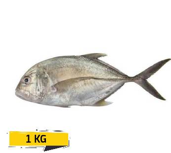 Trevally