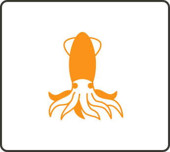 Squid & Octopus